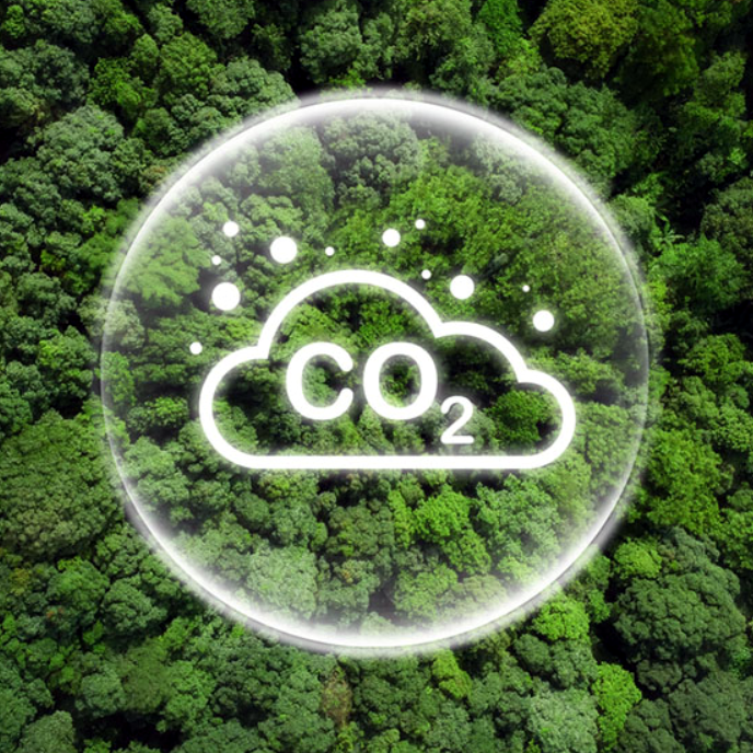 Klimawandel CO2 Quadrat