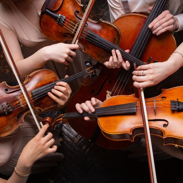 Musik Musiker Geigen Foto iStock Aguus