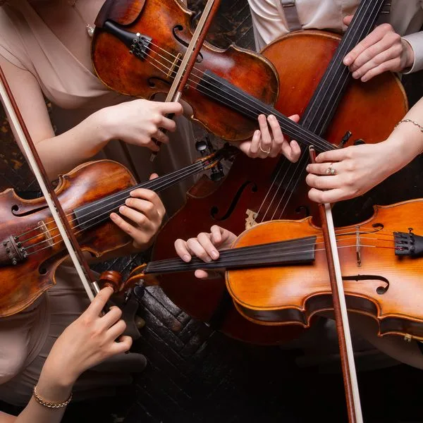 Musik Musiker Geigen Foto iStock Aguus
