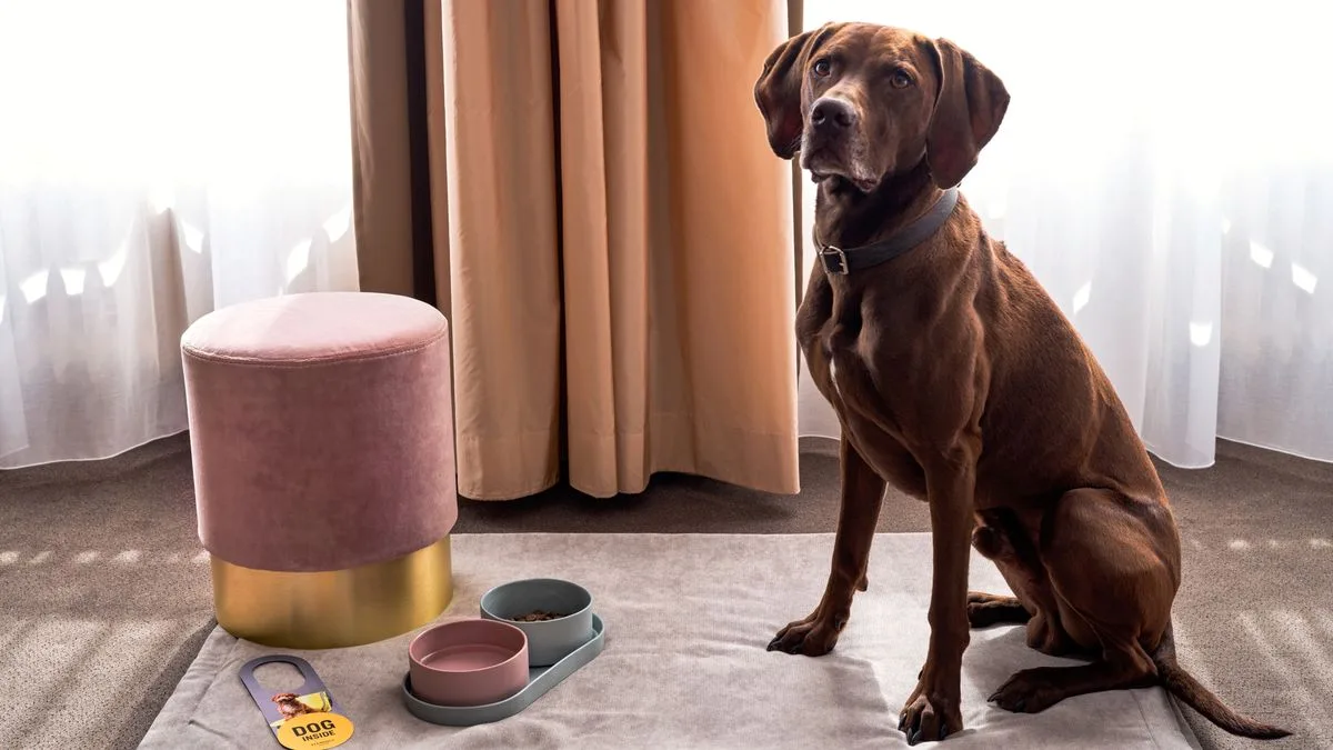 Flemings Dogs Welcome Foto Flemings Hotels Flemings Dogs Welcome Foto Flemings Hotels