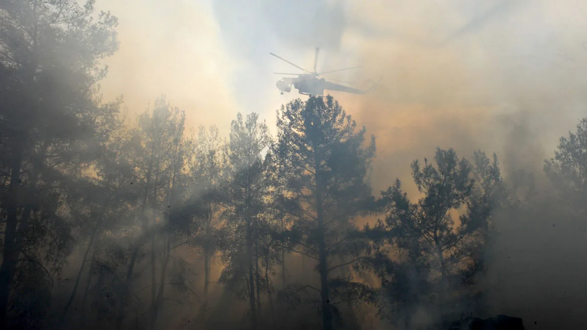 fb1a6896c302-Waldbrand-Griechenland-Rhodis-iStock-thelefty-1332217706 Waldbrand Rhodos