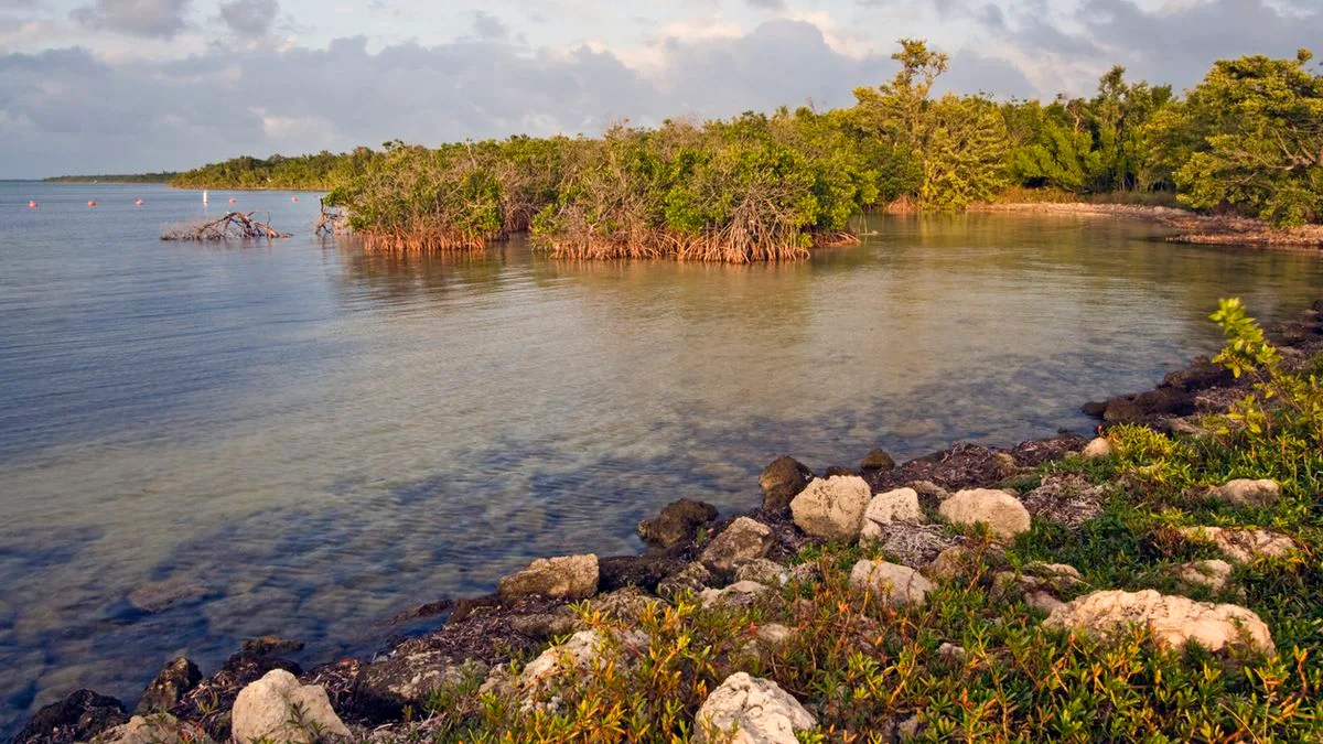 d945f1941d15-USA-Biscayne-National-Park-Florida-Foto-iStock-Benkrut SA Biscayne National Park Florida Foto iStock Benkrut