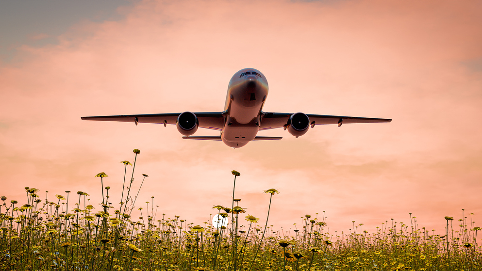 Flugzeug