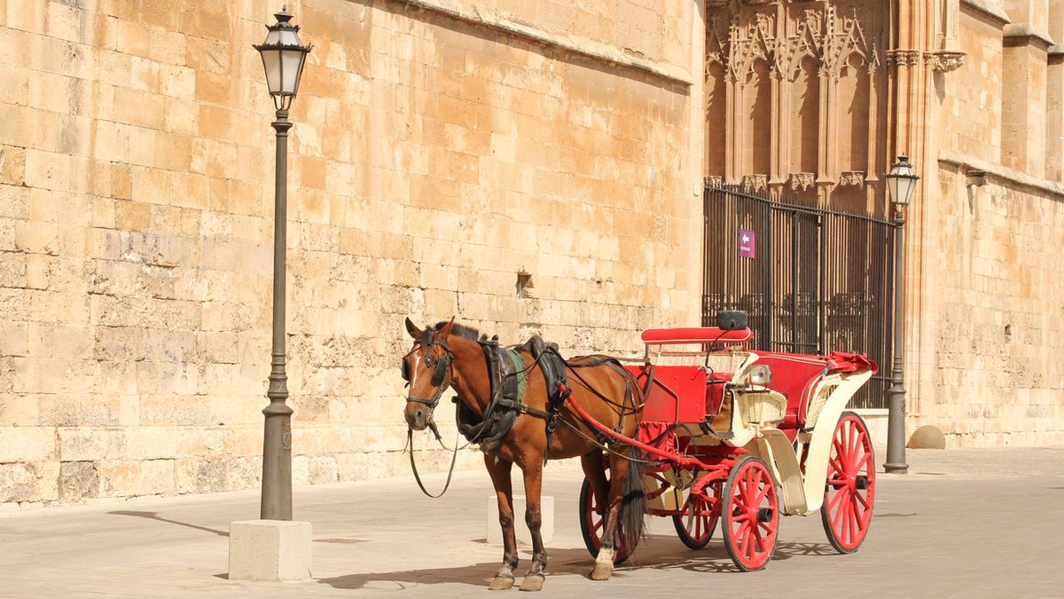 Spanien Mallorca Palma Pferde Kutsche Foto iStock Rrrainbow