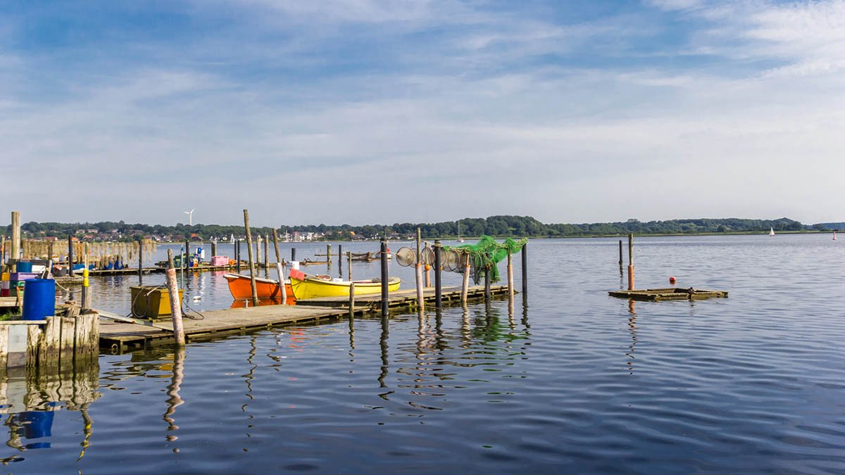 Deutschland Schleswig-Holstein Schlei