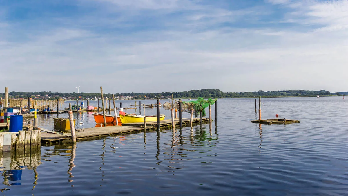 Deutschland Schlei iStock venemama-1205467171 Deutschland Schleswig-Holstein Schlei