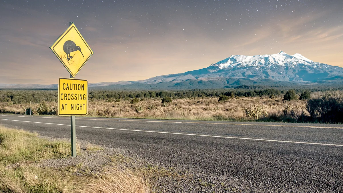Neuseeland Schild Kiwi Crossing Vulkan Ruapehu Tongariro National Park Foto iStock Erik_V Neuseeland Schild Kiwi Crossing Vulkan Ruapehu Tongariro National Park Foto iStock Erik_V.jpg
