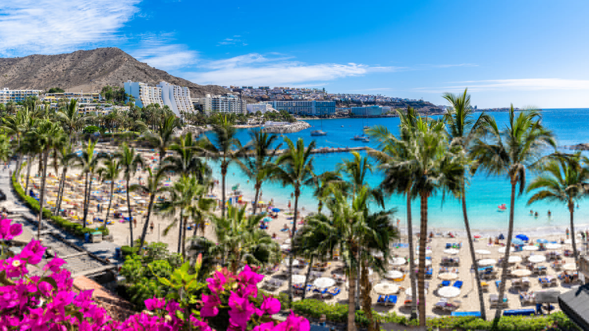 a61ab2cb8961-Spanien-Gran-Canaria-Mogan-iStock-Balate-Dorin-1195445263 Spanien Gran Canaria Mogan