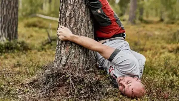 4f3369a78f7f-Treehugging-Foto-Visit-Finland Treehugging Foto Visit Finland