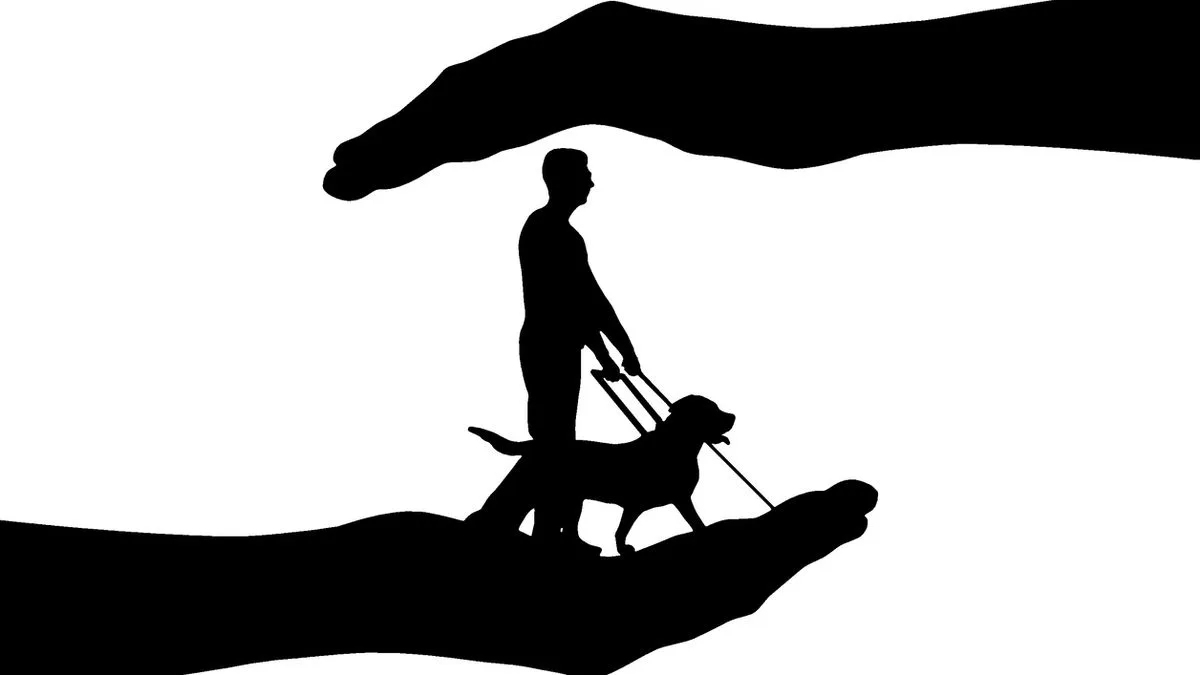 078a3d7038f8-Assistenzhund-Hund-Foto-iStock-Viktor-Aheiev Assistenzhund Hund Foto iStock Viktor Aheiev