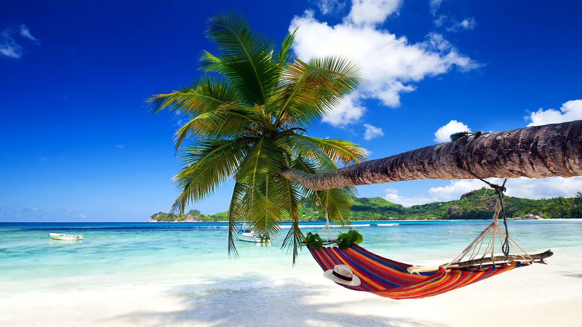 60491b86282c-Urlaub-Strand-Palme-Haengematte-iStock-peppi18-475903022 Urlaub Strand Palme Hängematte