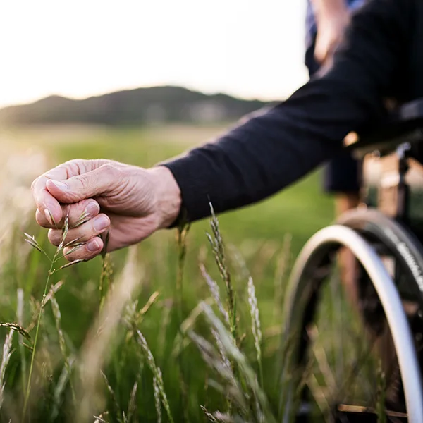 Alte Senior Rollstuhl Natur Demenz iStock Halfpoint