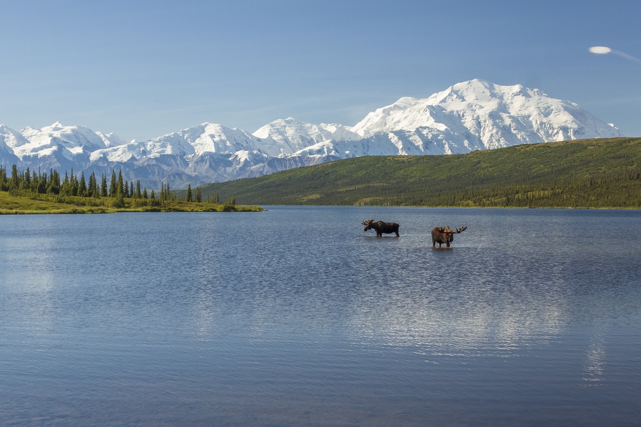Alaska, Wonder Lake, Foto iStock/mtnmichelle