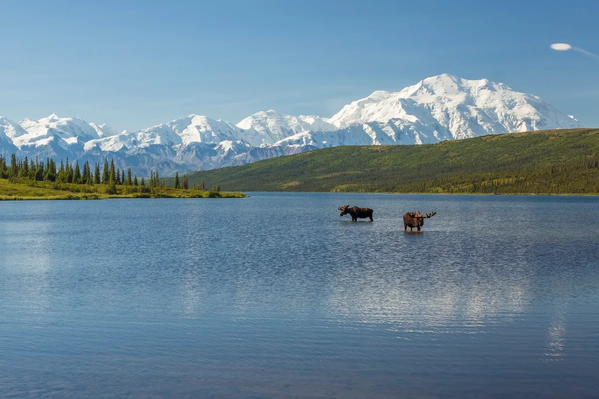 Alaska_Wonder LakeFoto_iStock_mtnmichelle Alaska, Wonder Lake, Foto iStock/mtnmichelle