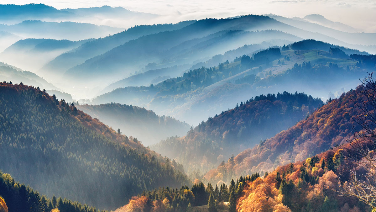 Schwarzwald