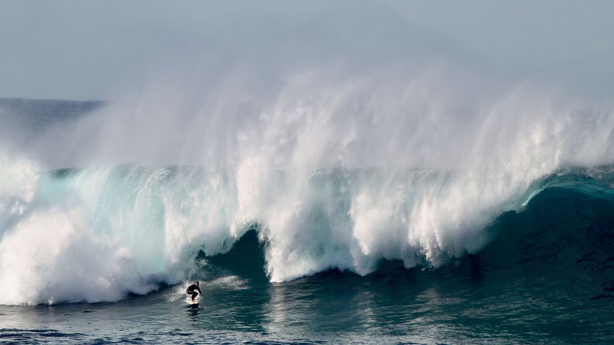 Australen Sydney Bondi Beach Welle Foto iStock Nicolas Joris ancion