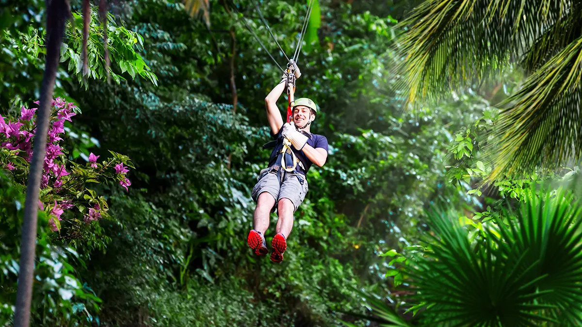 8d7a800d51c9-Saint-Lucia-Zipline-Soufriere-Saint-Lucia-Tourism-Authority Saint Lucia Zipline Soufriere Saint Lucia Tourism Authority.jpg