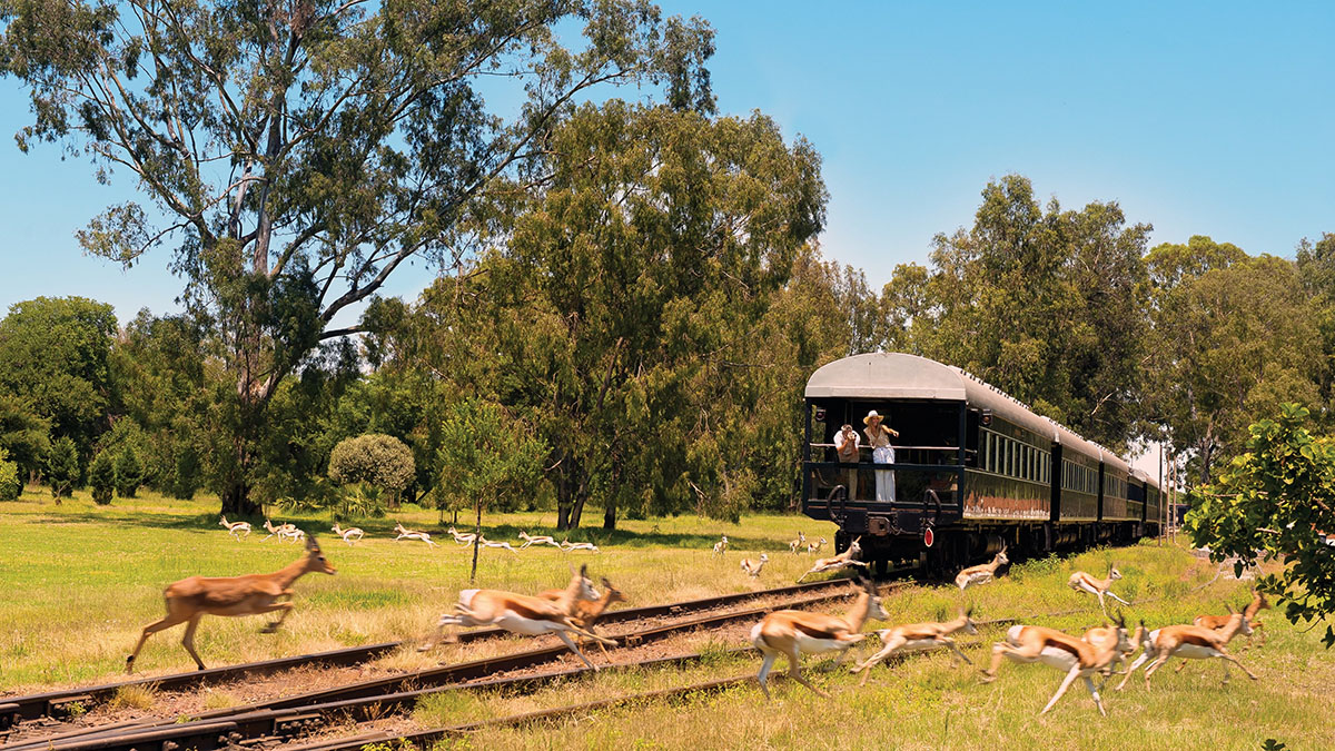 Rovos Rail Safari