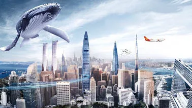 HNA Group HNA Group