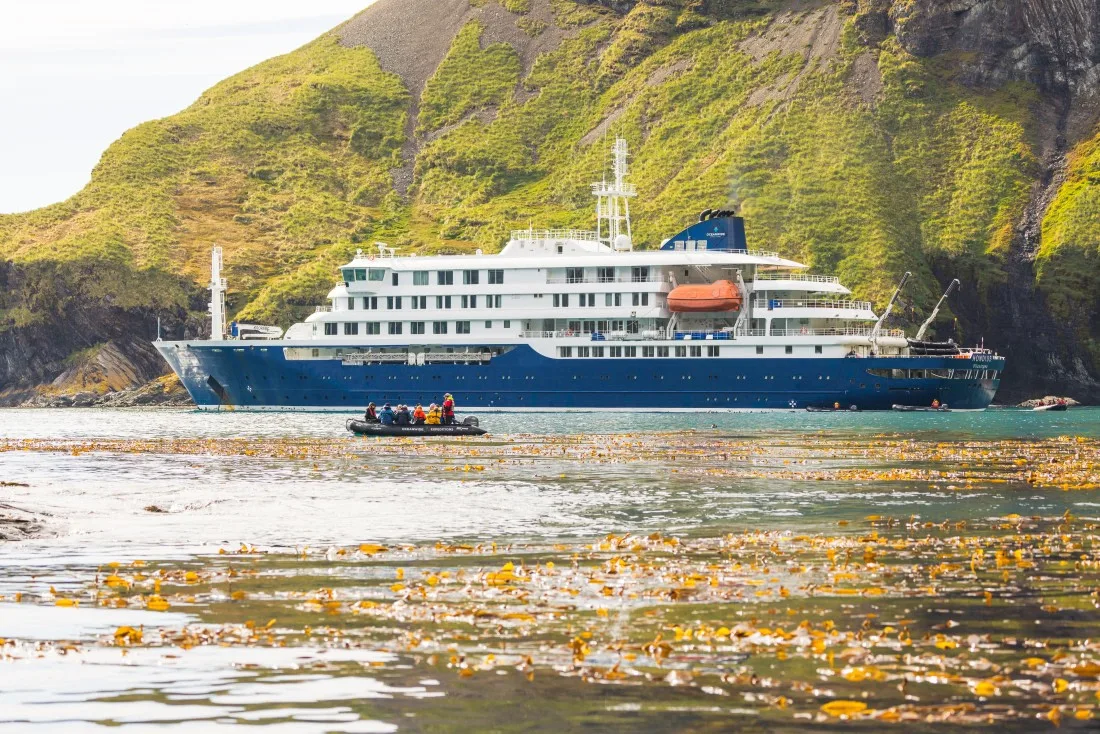 90270e06a9f7-media67d942cee31a7248108362 Kreuzfahrtschiff m/v Hondius