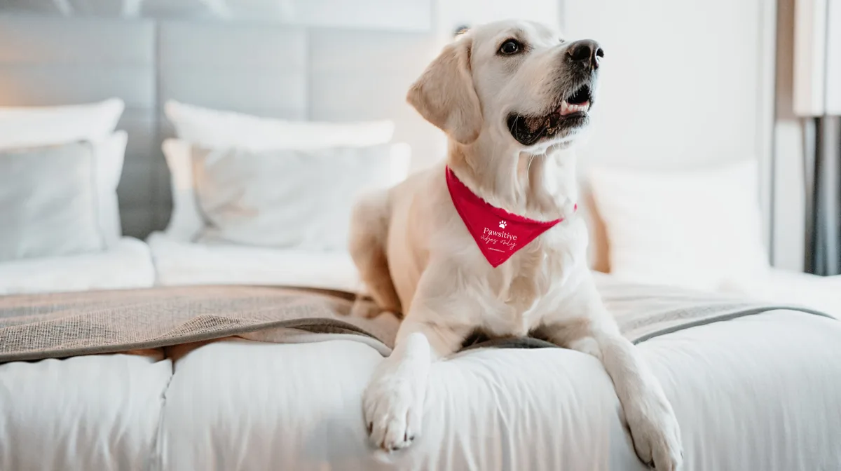 716c2d93e056-Hunde-bei-Leonardo-Hotels Hunde bei Leonardo Hotels