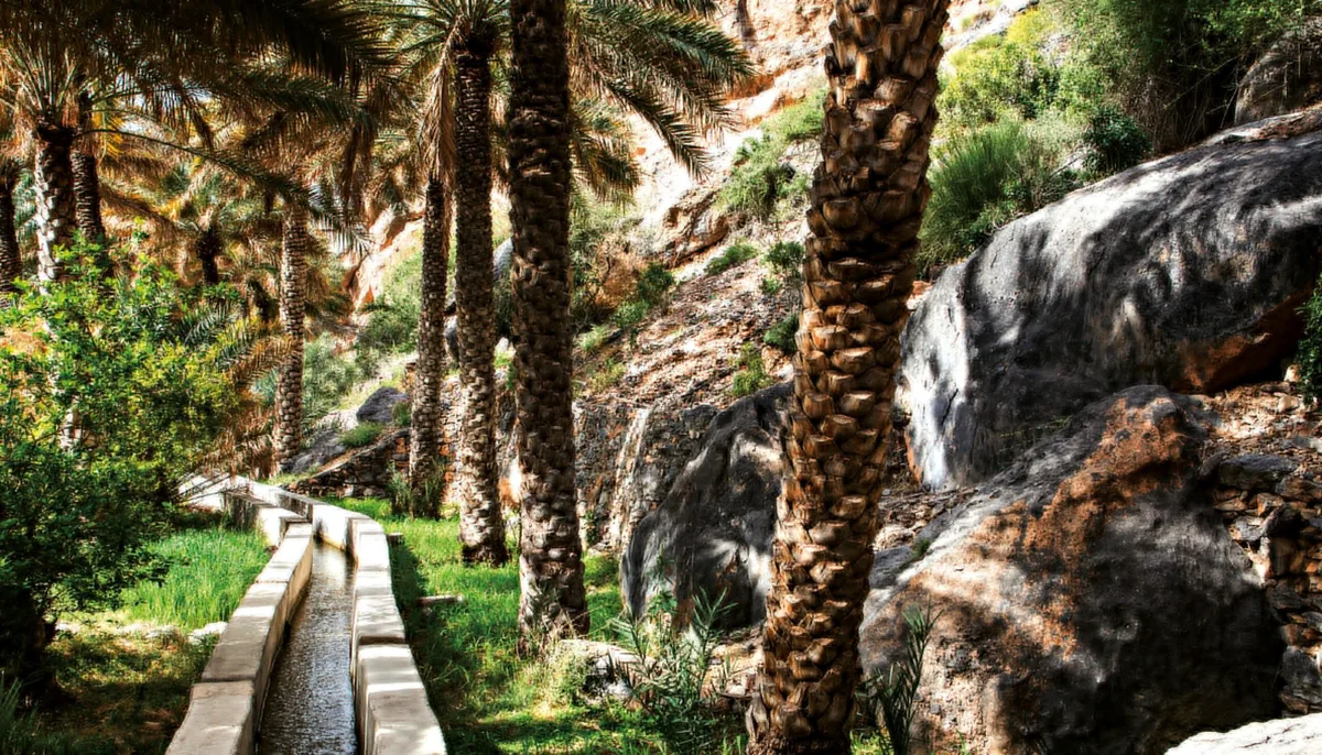 b3fba3c168f3-UNESCO-World-Heritage-Site-Aflaj-Irrigation-system-Falaj-Dariz-C-Ministry-of-Heritage-Tourism-Sultanate-of-Oman UNESCO World Heritage Site - Aflaj Irrigation Oman