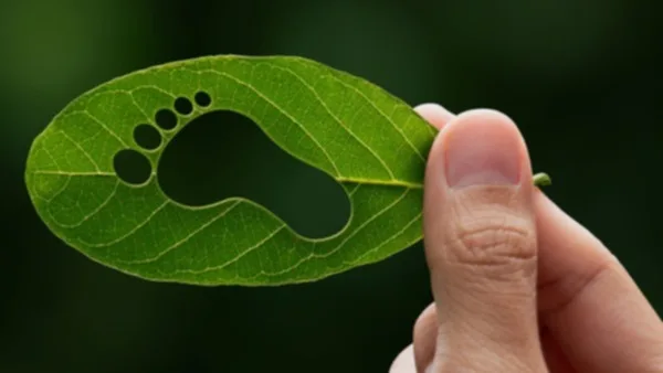 df8e91738388-co2-Fussabdruck-Klimaschutz-iStock-Thx4Stock co2 Fußabdruck Klimaschutz iStock Thx4Stock.jpg