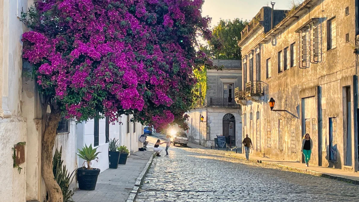 16b4ebd6efe9-Uruguay-Colonia-del-Sacramento-iStock-oliver-de-la-haye Uruguay Colonia del Sacramento iStock oliver de la haye.jpg