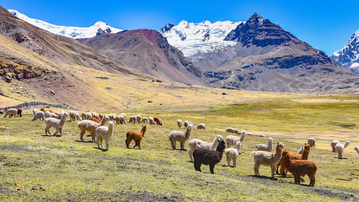 Peru Berg Asungate Trek Foto iStock Marc Tucan