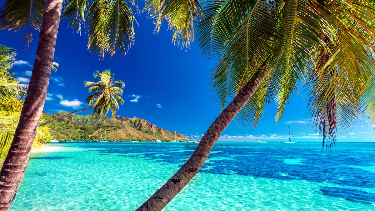 7a9b3b6979e1-EL_Franzoesisch-Polynesien_Tahiti_Moorea_Strand-mit-blauem-Meer_iStock-522726364 EL_Franzoesisch-Polynesien_Tahiti_Moorea_Strand mit blauem Meer_iStock-522726364.jpg