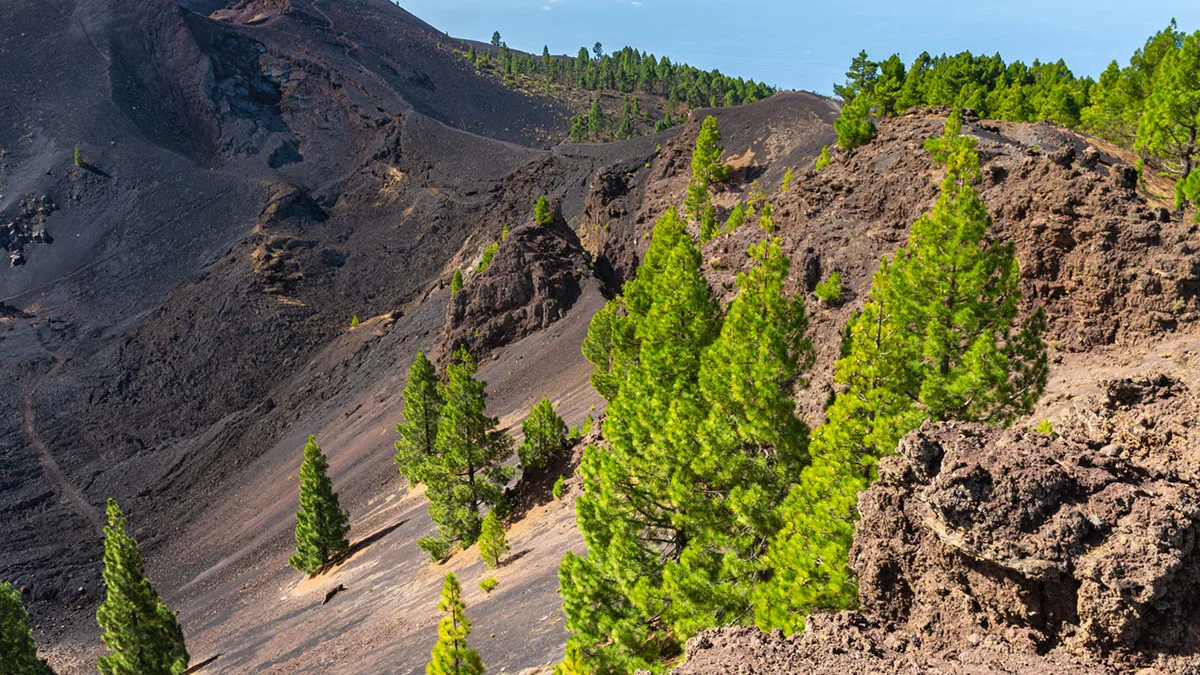 Spanien La Palma Vulkan iStoc0 k-1223520666 Spanien La Palma