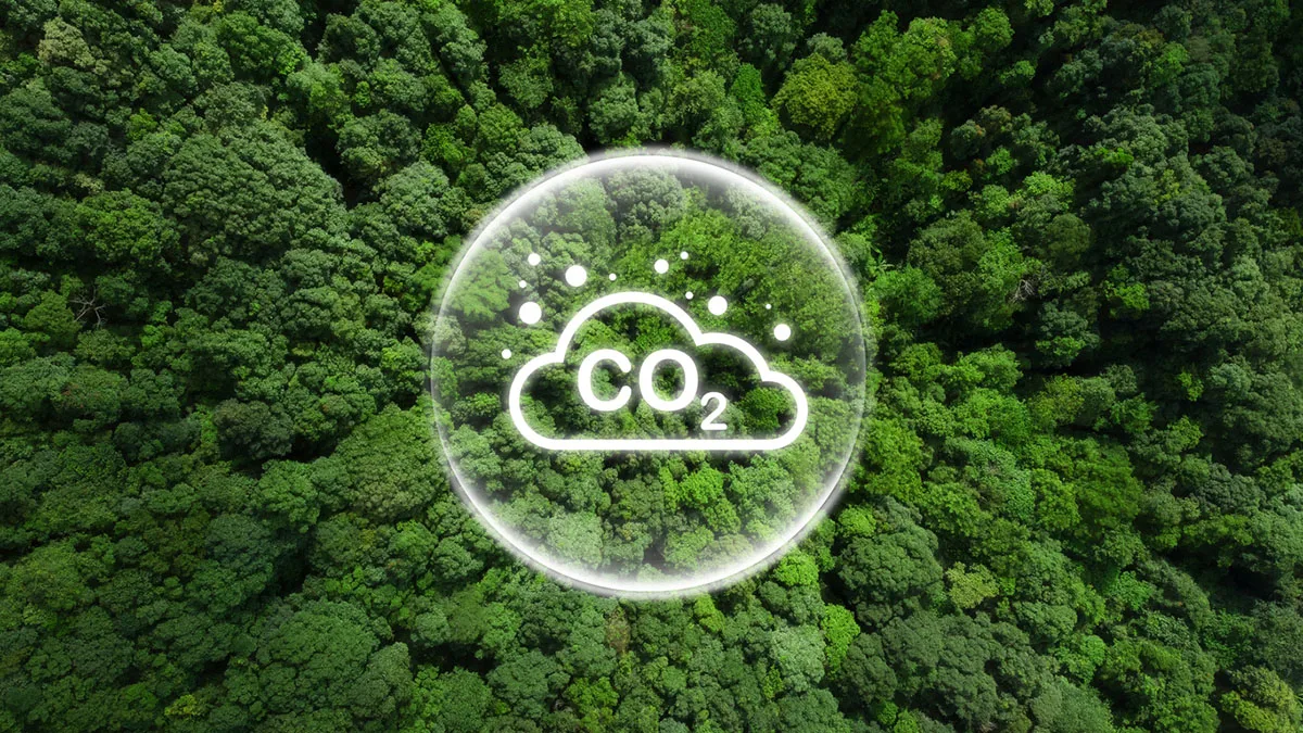 0a91e68f6272-CO2-Wald-iStock-pcess609-1474783424 CO2 Klima Wald