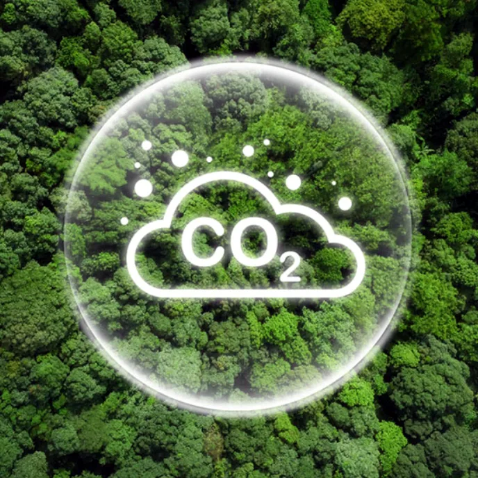 bd268b7fbfc6-Klimawandel-CO2-Quadrat Klimawandel CO2 Quadrat