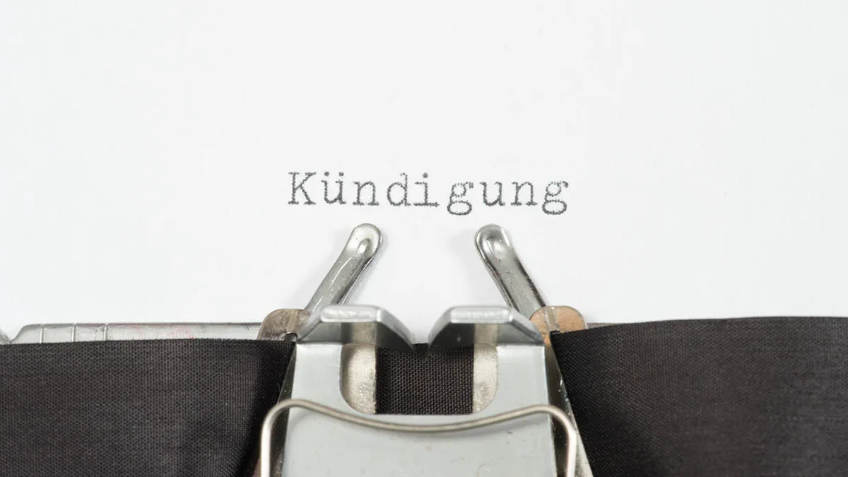 Kündigung iStock Stadtratte-857473288 Kündigung
