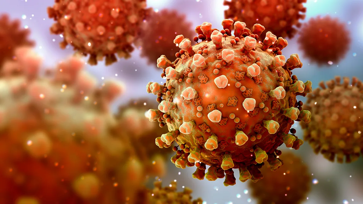 Corona-Virus Animation Foto iStock Bertrand Blay Corona-Virus Animation Foto iStock Bertrand Blay.jpg