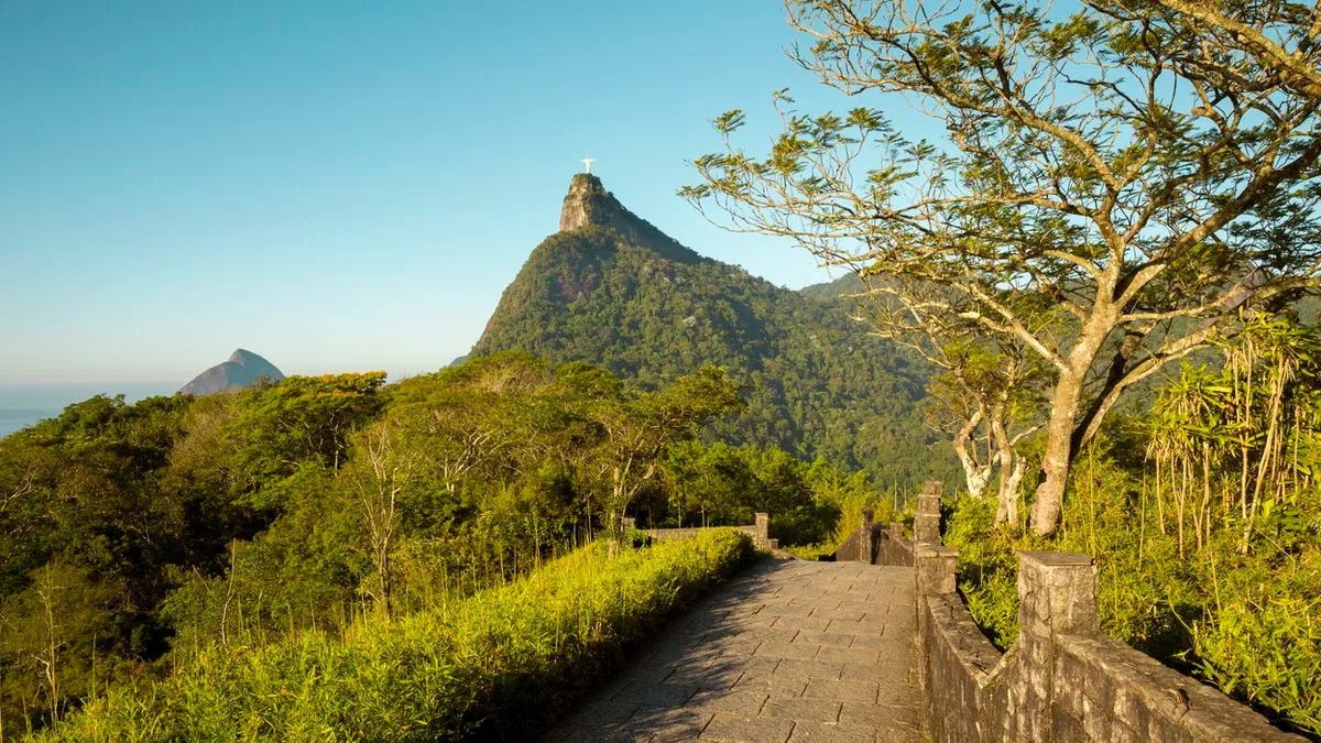 498ce1e6d7bc-Brasilien-Rio-Tijuca-nationalpark-Foto-iStock-Miolajn Brasilien Rio Tijuca nationalpark Foto iStock Miolajn