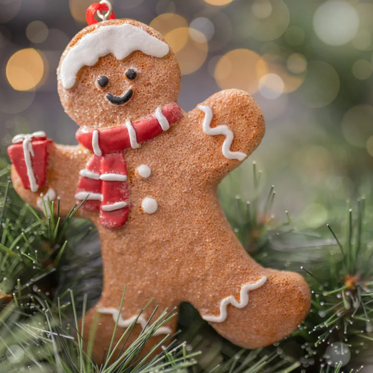 Weihnachten Weihnachtsfeier