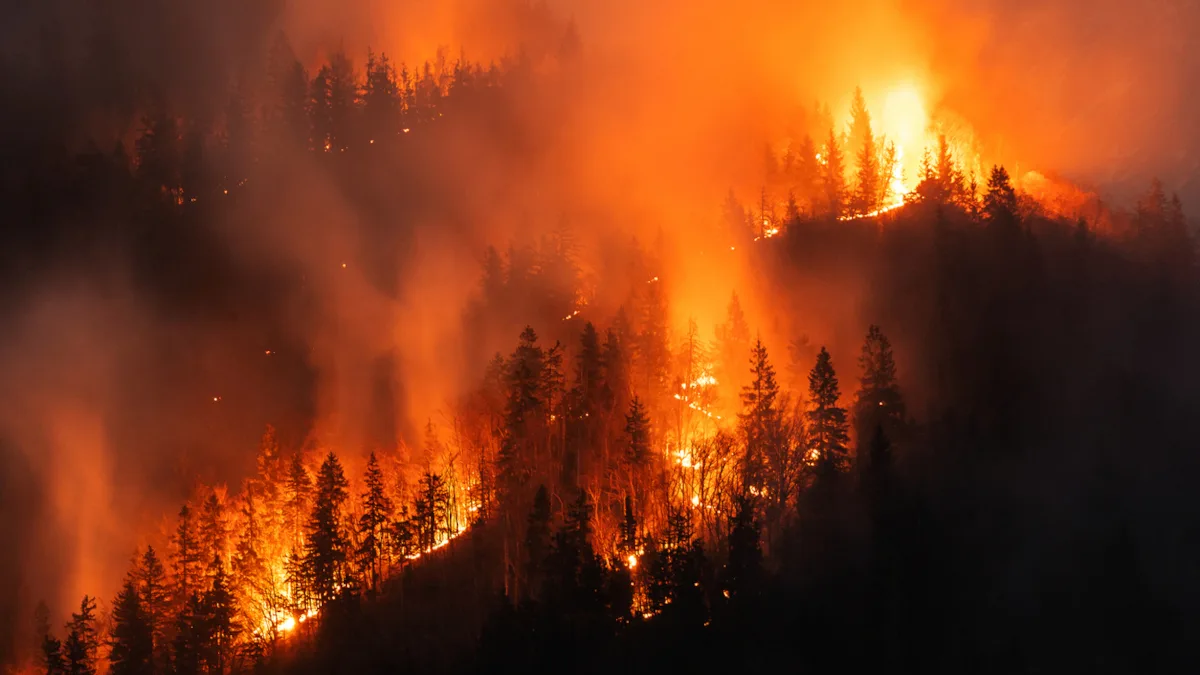 c2959df631d0-Waldbrand-iStock-24K-Production-2186685950 Waldbrand