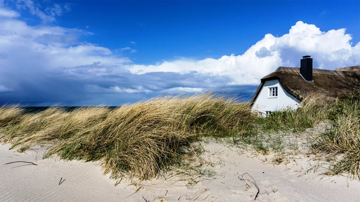 abb112116b49-Ferienhaus-in-den-Duenen-iStock-winyuu-523869768-1- Ferienhaus