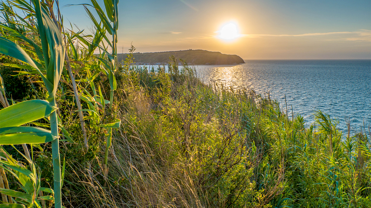Susak