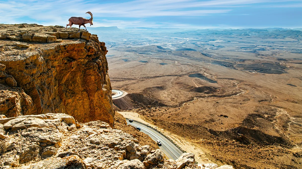 Israel Negev-Wüste iStock kavram-1352671585 Negev-Wüste