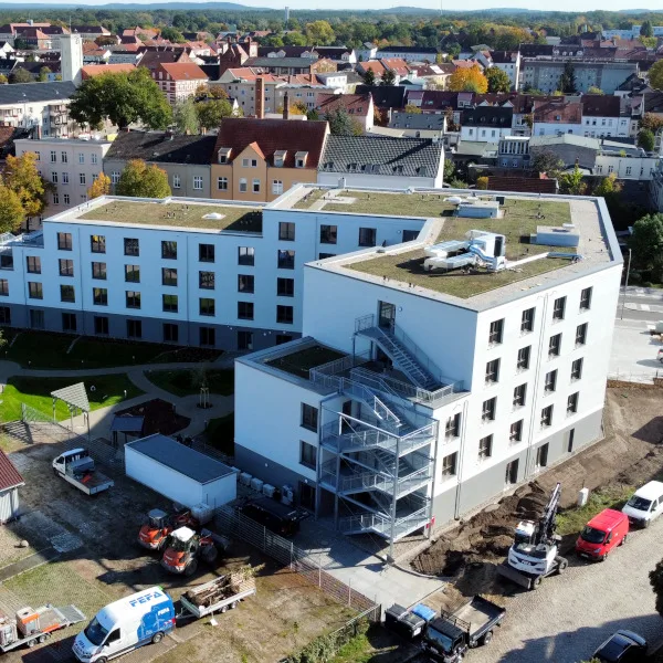 Cureus Compassio Rathenow Foto Helge Feuereiss.jpg