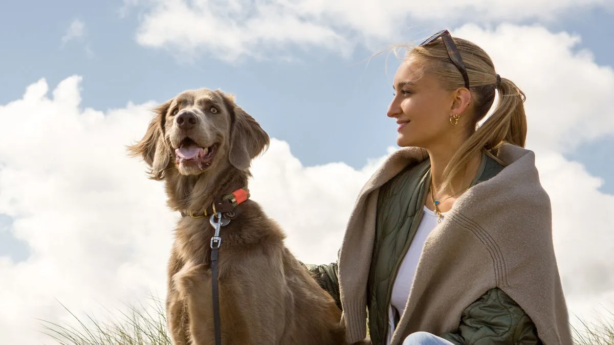 08654294cbdd-Arcona-Hunde-Angebot-Foto-Arcona-Hunter Arcona Hunde-Angebot Foto Arcona Hunter