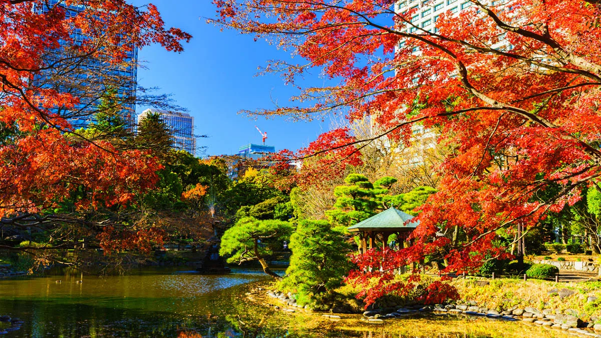 Japan Tokio Herbst iStock show999-1179178199 Tokio Herbst