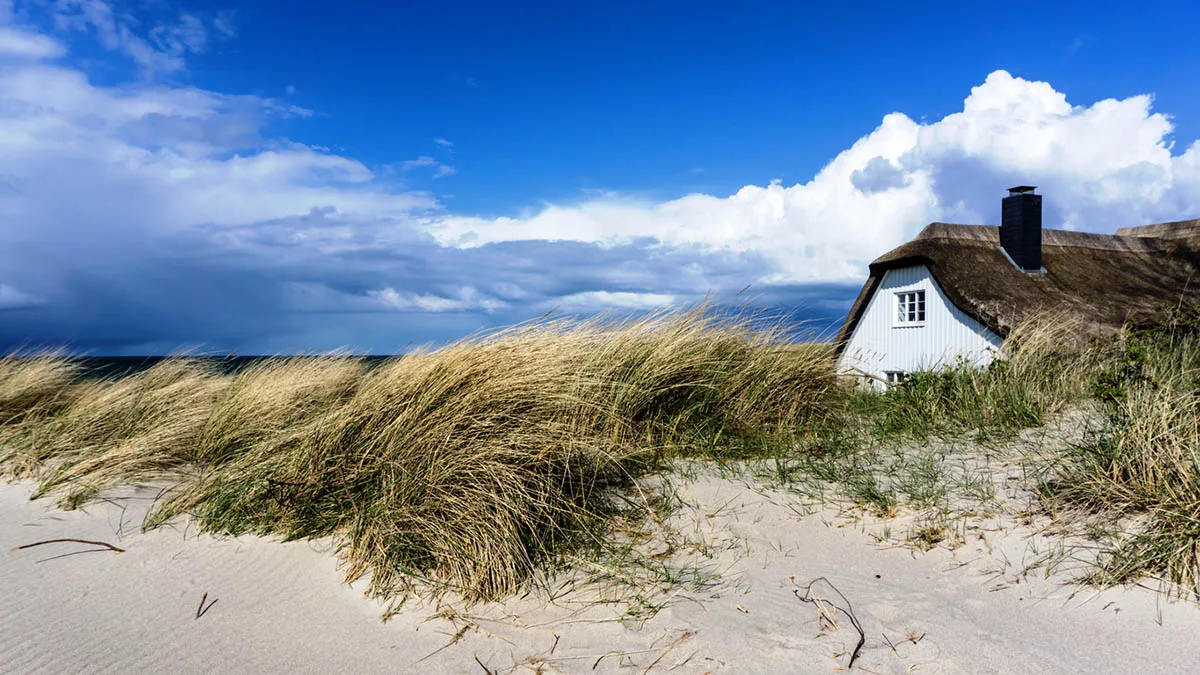 Ferienhaus Dünen iStock winyuu-523869768 Ferienhaus