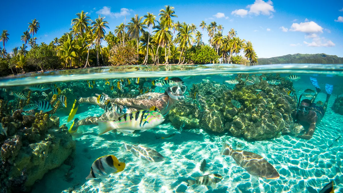 Tahiti_Moorea_Schnorcheln_Foto Tahiti Tourisme David Kirkland Tahiti Moorea Schnorcheln