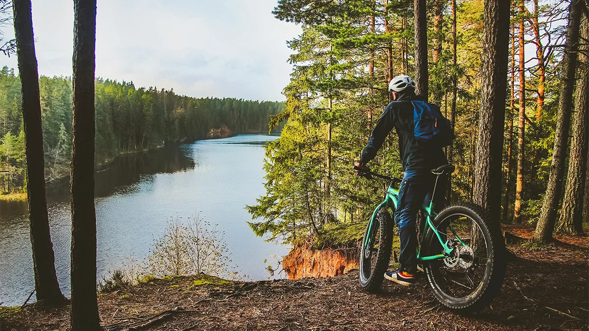 Estland Aktivurlaub Biker Wald Foto Visit Estonia Estland Aktivurlaub Biker Wald Foto Visit Estonia