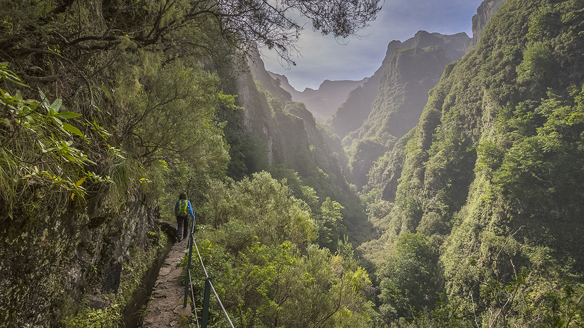 Portugal Madeira Levada do Calderao Verde Wanderung Visit Madeira/Correia