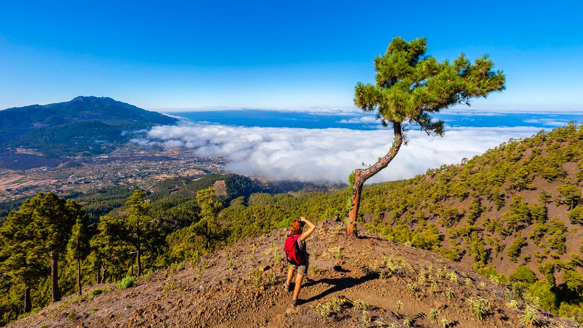 Spanien Kanarische Inseln La Palma iStock Flavio Vallenari-175442188 La Palma