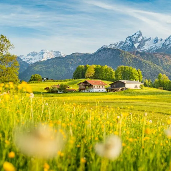 Landurlaub Bauernhof Foto iStock bluejayphoto